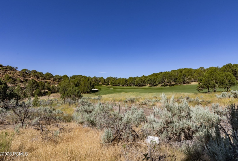 581 N Red Mountain Court Lot 211 Heber C