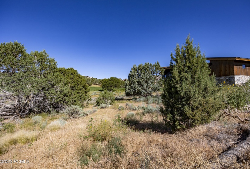581 N Red Mountain Court Lot 211 Heber C
