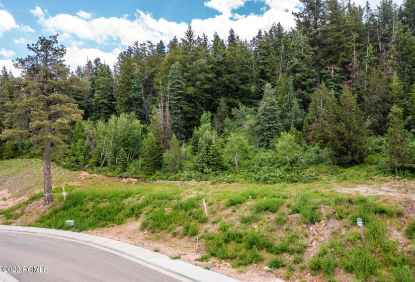 4040 West Crest Court Lot 308 Park City