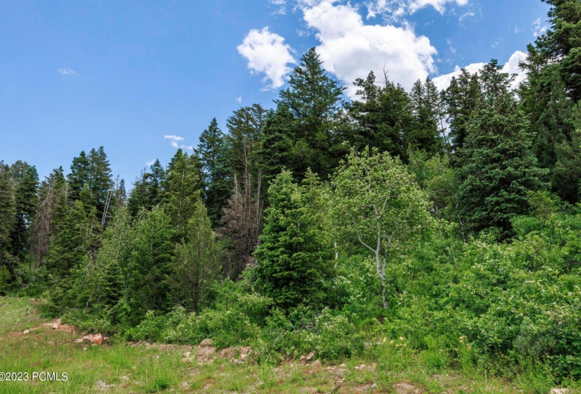 4040 West Crest Court Lot 308 Park City