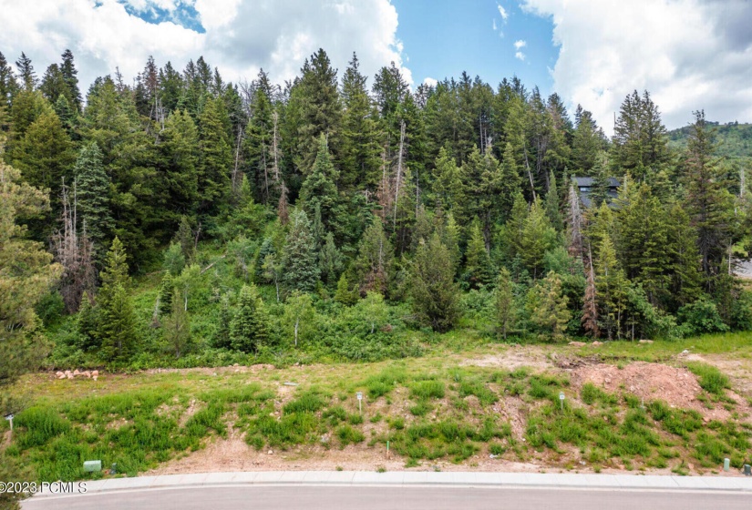 4040 West Crest Court Lot 308 Park City