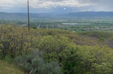 Tax Id 00-0002-3593, Midway, Utah 84049, ,Land,For Sale,00-0002-3593,12401054