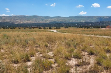 Hidden Meadow, Fruitland, Utah 84027, ,Land,For Sale,Hidden Meadow,12401180