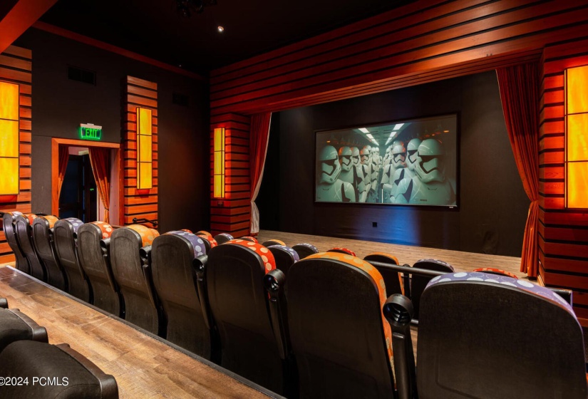 Movie Theater At The Shed