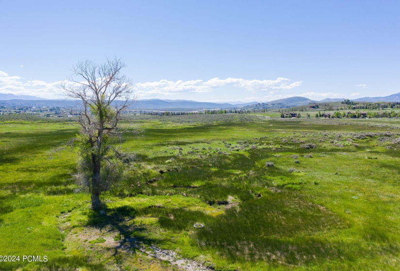 5-web-or-mls-8151 Bitner Ranch Rd Park C