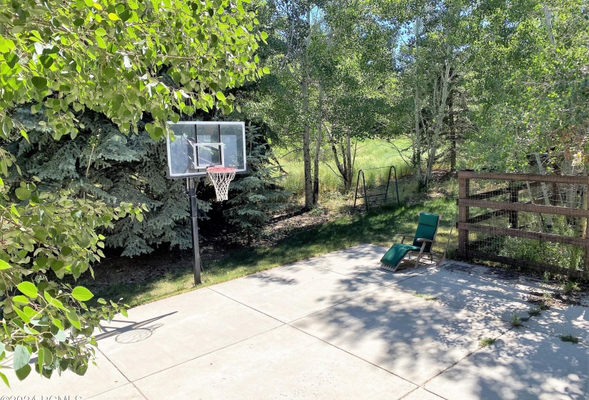 Basketball Hoop Backyard