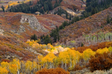 Center Creek Road, Heber City, Utah 84032, ,Land,For Sale,Center Creek Road,12401863