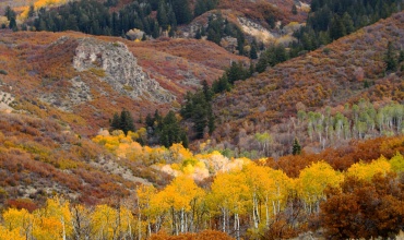 Wolf Bone Ranch