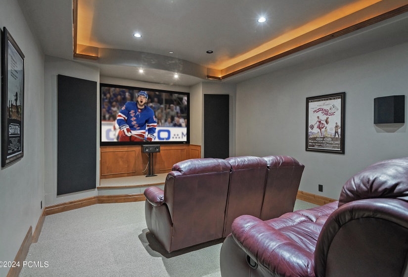 Lower Level Media Room