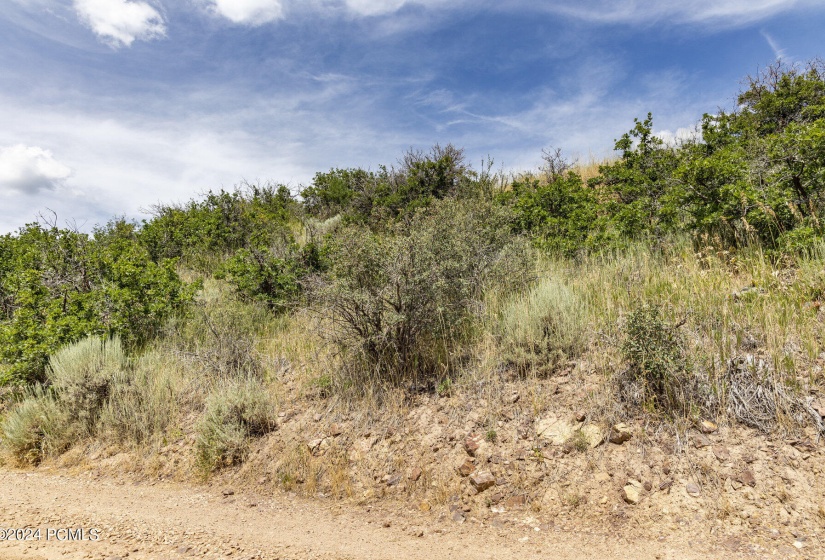 010_2431_upper_ridge_road_kamas_ut-print