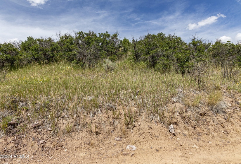 011_2431_upper_ridge_road_kamas_ut-print