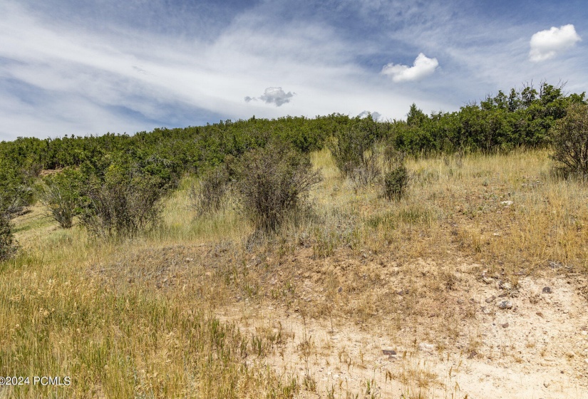 004_2431_upper_ridge_road_kamas_ut-print