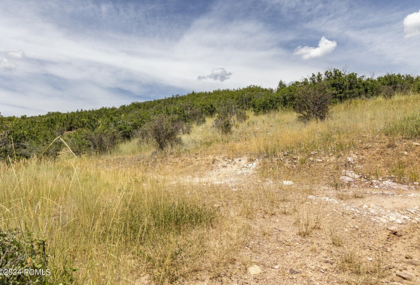 005_2431_upper_ridge_road_kamas_ut-print