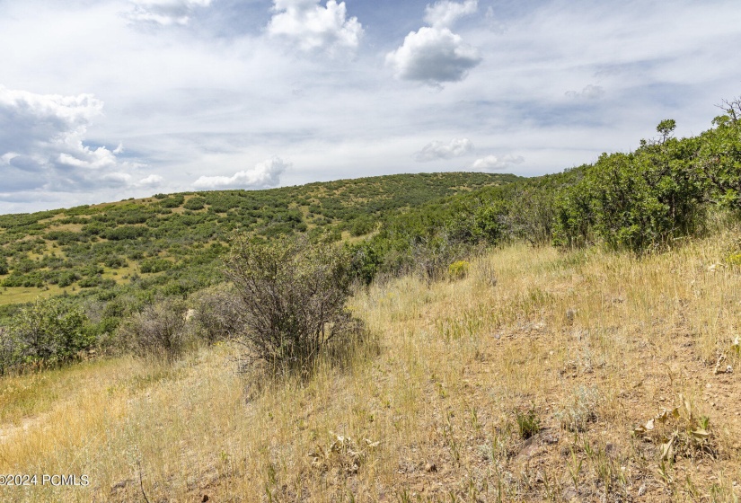 008_2431_upper_ridge_road_kamas_ut-print