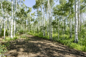 5156 Pebble Drive, Midway, Utah 84049, ,Land,For Sale,Pebble,12203430