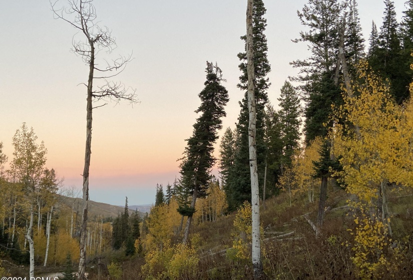 24-web-or-mls-autumn_at_the_cabin