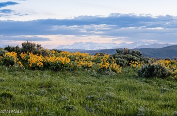 1235 Hoyt Peak Ranch Road, Marion, Utah 84036, ,Land,For Sale,Hoyt Peak Ranch,12402541