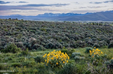 995 Hoyt Peak Ranch Road, Marion, Utah 84036, ,Land,For Sale,Hoyt Peak Ranch,12301987