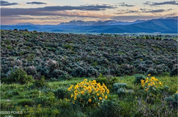 755 Hoyt Peak Ranch Road, Marion, Utah 84036, ,Land,For Sale,Hoyt Peak Ranch,12303526