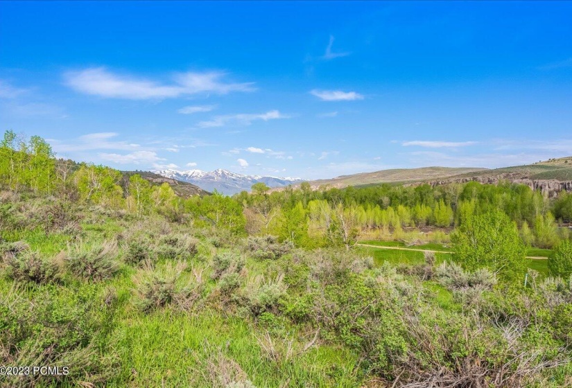 15-5985 E Green Drake Dr, Lot 248, Heber