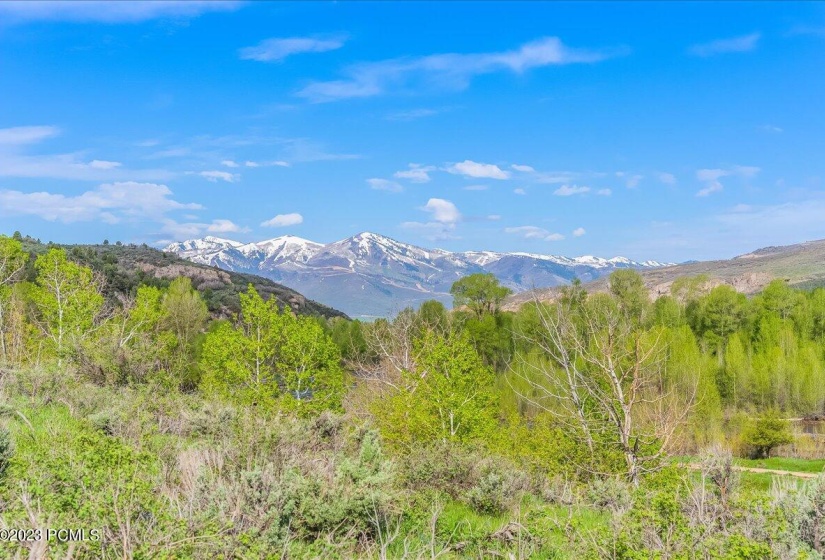 17-5985 E Green Drake Dr, Lot 248, Heber