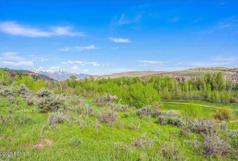 19-5985 E Green Drake Dr, Lot 248, Heber