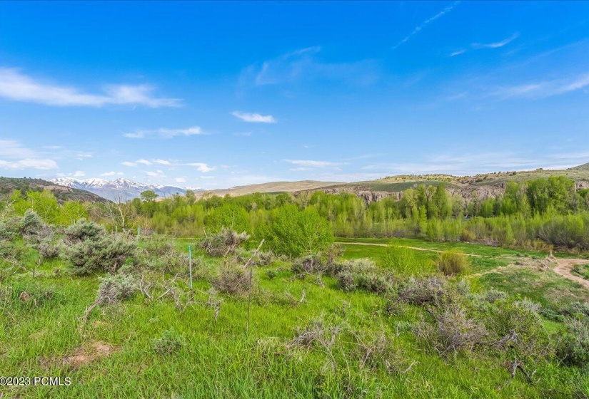 21-5985 E Green Drake Dr, Lot 248, Heber