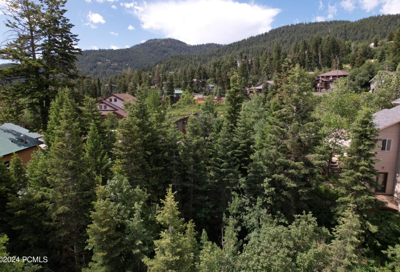 3 Drone Viewing the Mountain