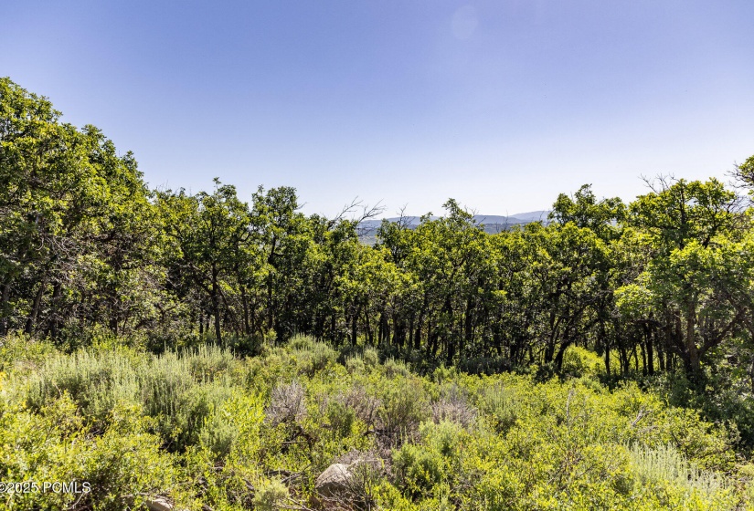 013_1625_w_red_hawk_trail007_156
