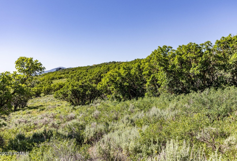 017_1625_w_red_hawk_trail010_197