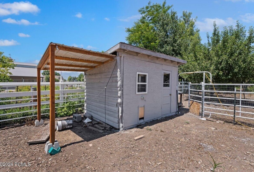 Chicken Coop