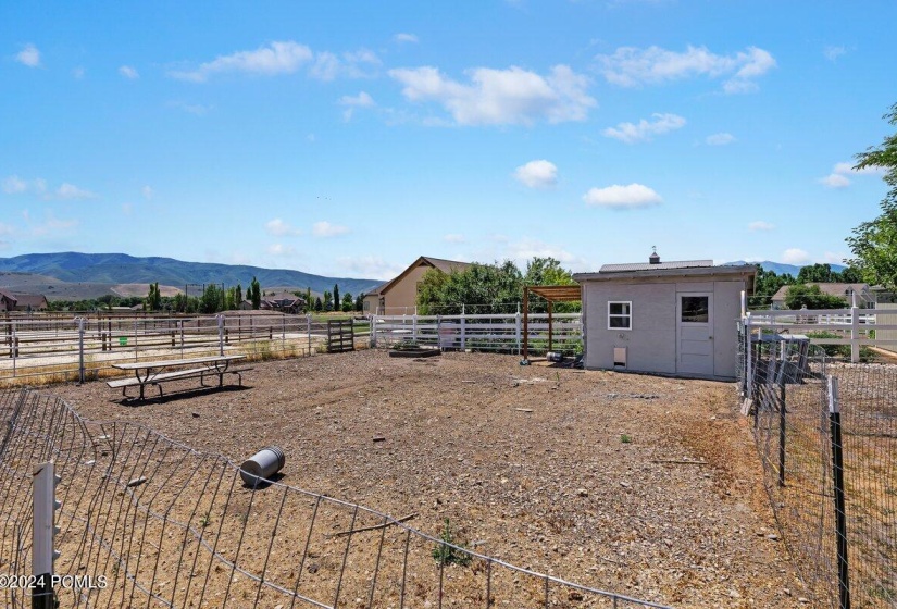 Barn Yard animal area