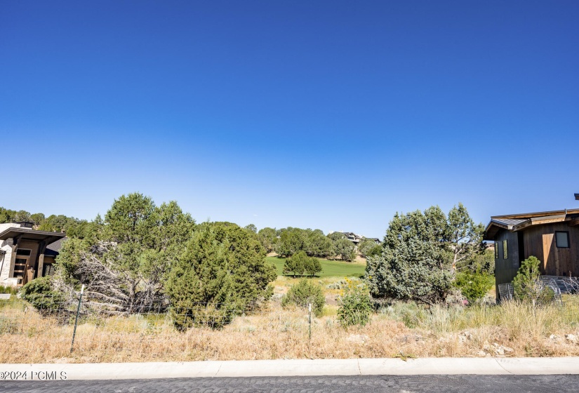 581 N Red Mountain Court Lot 211 Heber C