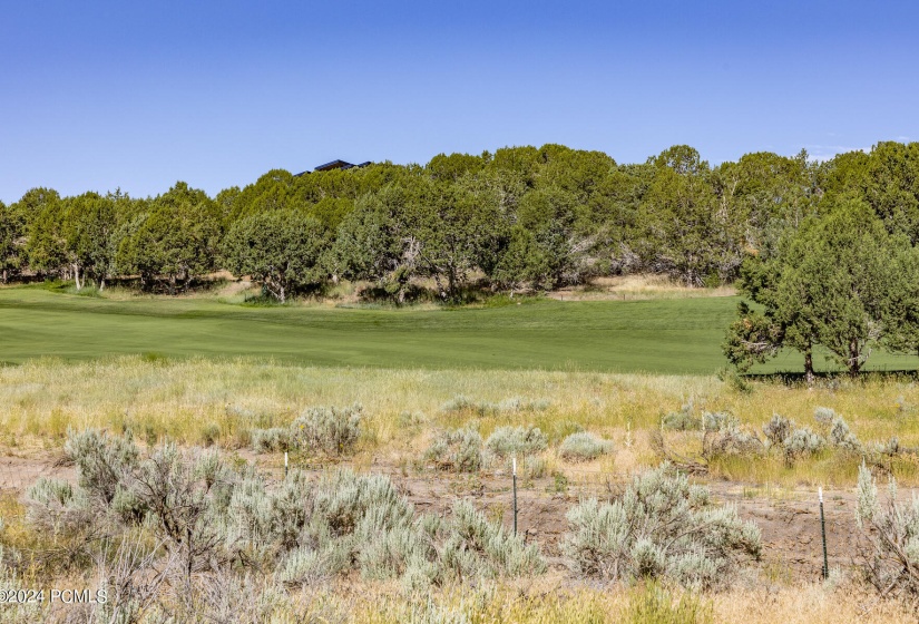 581 N Red Mountain Court Lot 211 Heber C