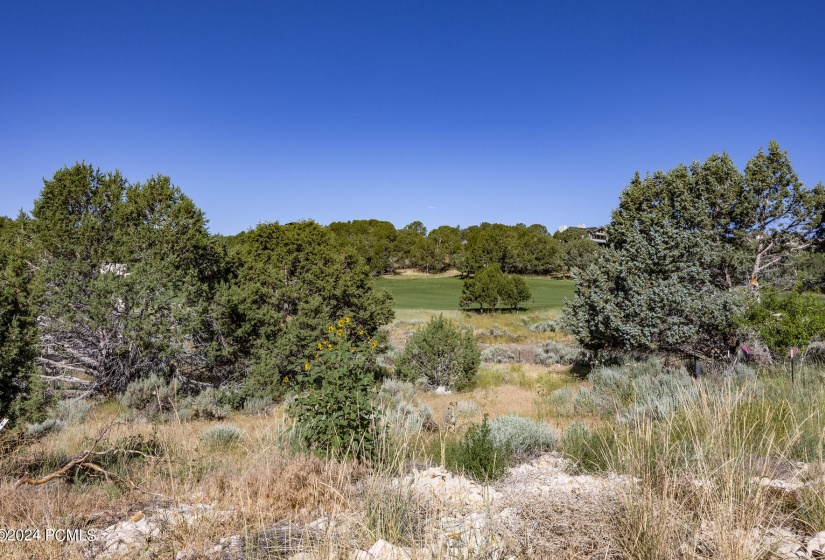 581 N Red Mountain Court Lot 211 Heber C