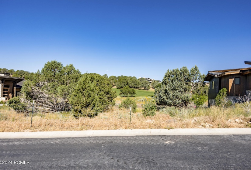 581 N Red Mountain Court Lot 211 Heber C