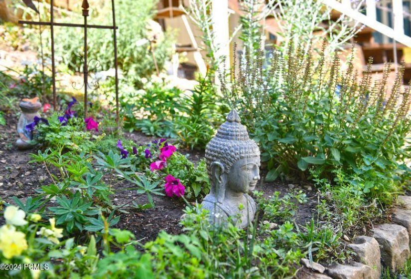 Garden Zen