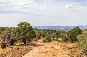 No Situs: Tax Id 00-0034-3271, Duchesne, Utah 84021, ,Land,For Sale,No Situs: Tax Id 00-0034-3271,12403598