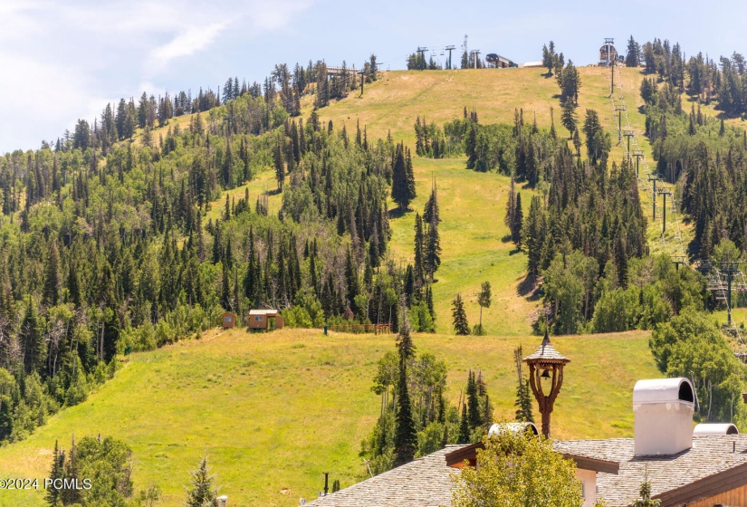 bald mountain summer scene