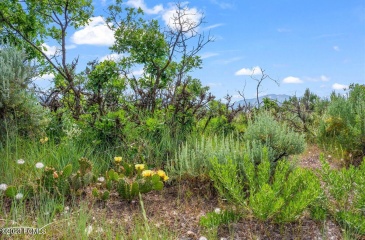 11 Skyline View Drive, Heber City, Utah 84032, ,Land,For Sale,Skyline View,12403879