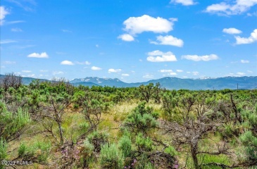 10 Skyline View Drive, Heber City, Utah 84032, ,Land,For Sale,Skyline View,12403878