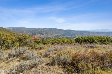 8215 Parleys Lane, Park City, Utah 84098, ,Land,For Sale,Parleys,12403945