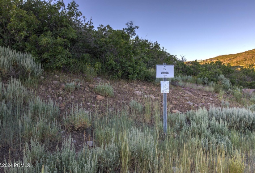 13640 N Deer Canyon Drive Lot 22 Heber C