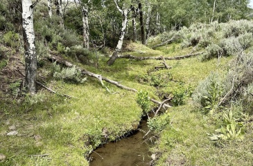 Sage Hollow Road, Kamas, Utah 84036, ,Land,For Sale,Sage Hollow,12404109