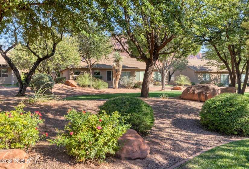 Backyard common area