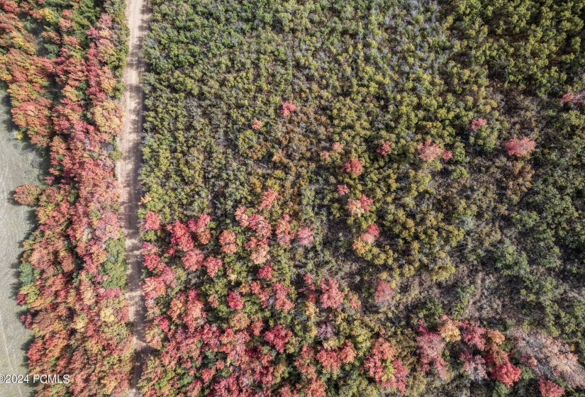 008_dji_0570_208