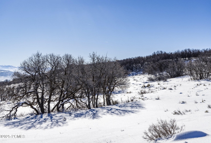 069_1655_w_red_hawk_trail22_51