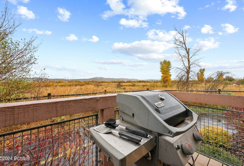 Deck with Views