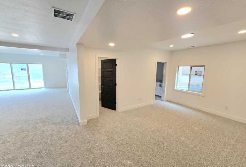 downstairs family room and flex space