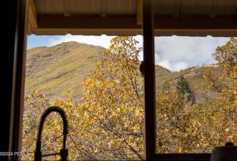 Kitchen View